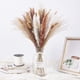 thumbnail image 4 of Flores Artificiales De Plástico 100 tallos de hierba de pampa seca con colas de conejo, juncos de cola de gato para decoración de mesa de boda bohemia (100 unidades) JASKFLY, 4 of 9