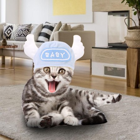 Greensen Chapeau Mignon De Costume De Chat D Animal Familier Drole D Ailes D Ange Chapeau Accessoires De Photo Chapeaux Chapeau De Costume D Animal Familier Chapeau De Chat Walmart Canada Greensen Chapeau Mignon De Costume De Chat D Animal Familier Drole D Ailes D Ange Chapeau Accessoires De Photo Chapeaux Chapeau De Costume D Animal Familier Chapeau De Chat Walmart Canada