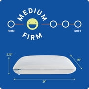 Sealy Dreamlife Memory Foam Gel Standard Bed Pillow
