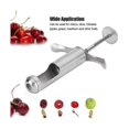 thumbnail image 2 of Stainless Steel Core Remover Tool for Hawthorn Grape Red Date De-Nucleator Hawthorn Seed Removing T, 2 of 5