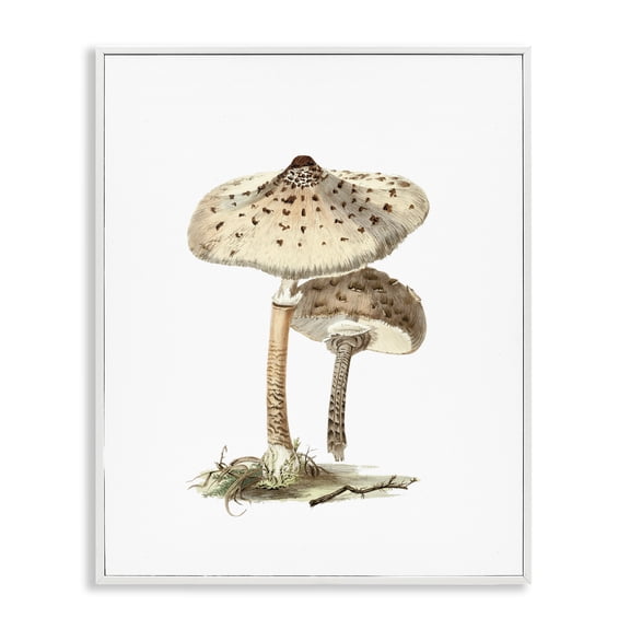 Stupell Industries Neutral Brown Mushrooms Botanical & Floral Painting White Framed Art Print Wall Art, 16 x 20