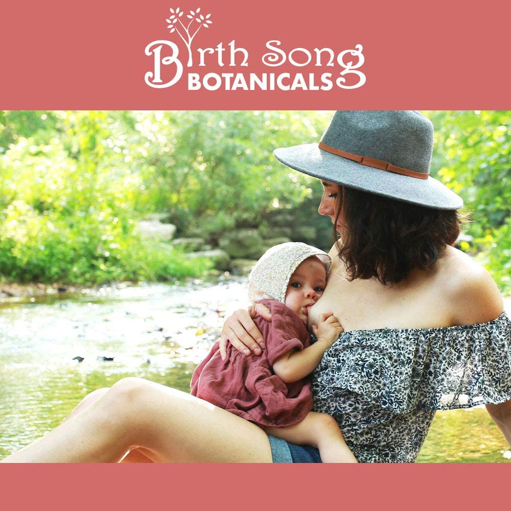 Birth Song Botanicals Organic Nursing Nectar Breastfeeding Tea for Healthy Lactation and Breastmilk Supply 40 Count