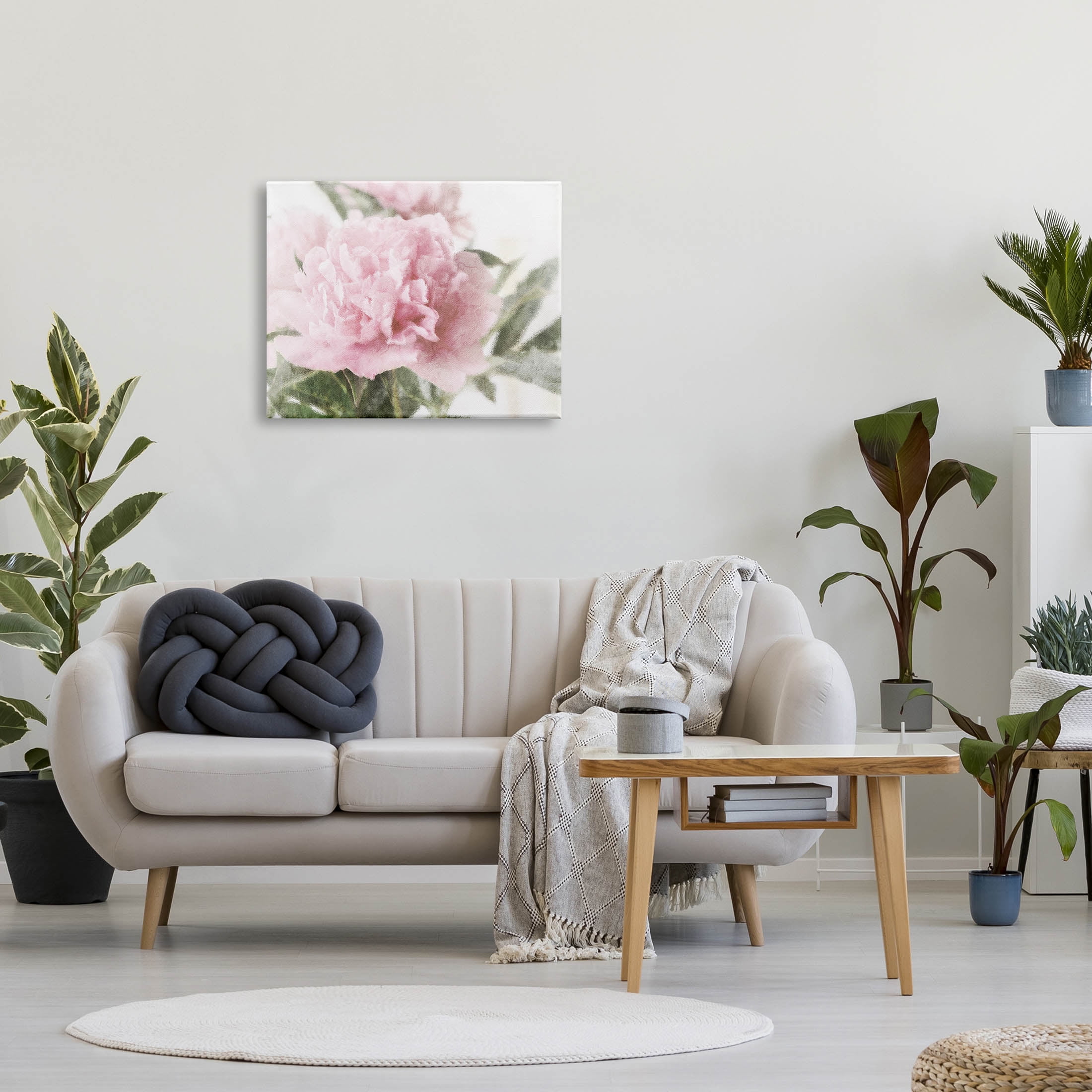 Soft Pink Carnation Blossom Botanical & Floral Graphic Art Gallery Wrapped Canvas Print Wall Art