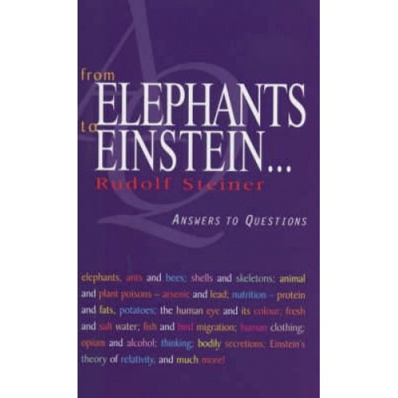 From Elephants to Einstein . . .: Answers to Questions
