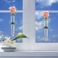 thumbnail image 5 of 1 Set Plastic Floral Water Tubes for Flower Arrangement Clear 109x42.5x41mm 8pcs/set, 5 of 7