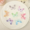 thumbnail image 5 of 50Pcs Fashion Gradient Color Translucent 3D Clothes Sewing Patch Organza Fabric Butterfly Appliques Simulation Mesh Butterfly Patch Chiffon Butterfly Embroidered Patches 07, 5 of 8