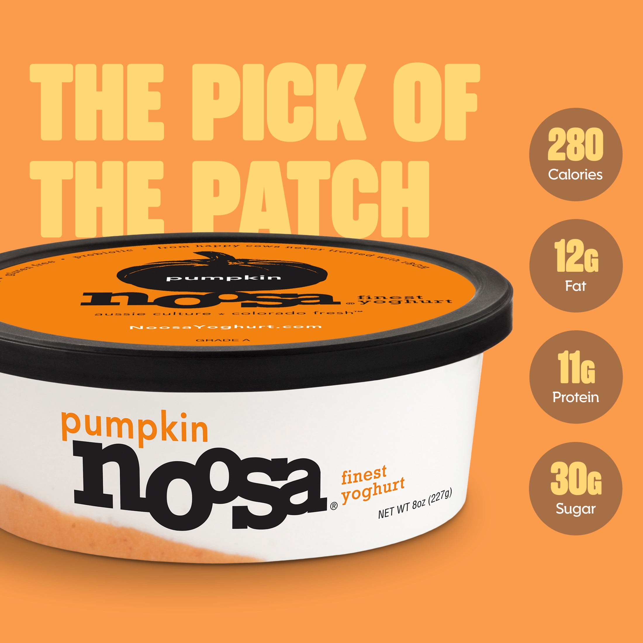 Noosa Yoghurt, Whole Milk Yogurt, Velvety Smooth & Creamy, Pumpkin, 8 oz Tub