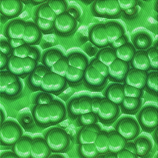 Ahgly Company Tapis d'Intérieur Lavable à la Machine, Carré, Transitionnel, Vert, Tapis de Zone, 6 Pieds Carré