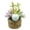 V1#C, variant on Artificial Easter Egg Flower Potted Table Decorations, 6.3inch Artificial Potted Plants, Easter Eggs in Seagrass Planter, Easter Egg Flowerpot Ornament for Farmhouse Fireplace Spring Party Decor