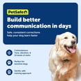 thumbnail image 4 of Collar de entrenamiento remoto PetSafe 600 Yard Lite para perros, 4 of 7