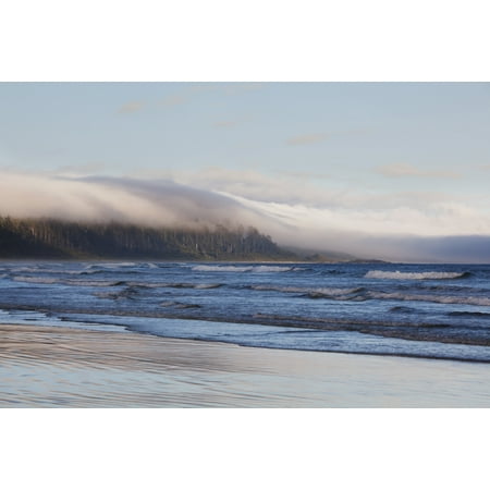 Fog Forms Over The Temperate Rainforest Along Long Beach In Pacific Rim National Park Near Tofino British Columbia Canada Stretched Canvas - Deddeda  Design Pics (19 x