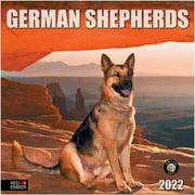 RED EMBER German Shepherds 2022 Hangable Wall Calendar - 12" x 24" Opened - Thick & Sturdy Paper - Giftable - Give