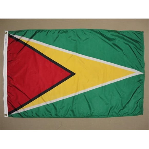 Annin Flagmakers 193302 2 ft. X 3 ft. Nyl-Glo Guyana Flag
