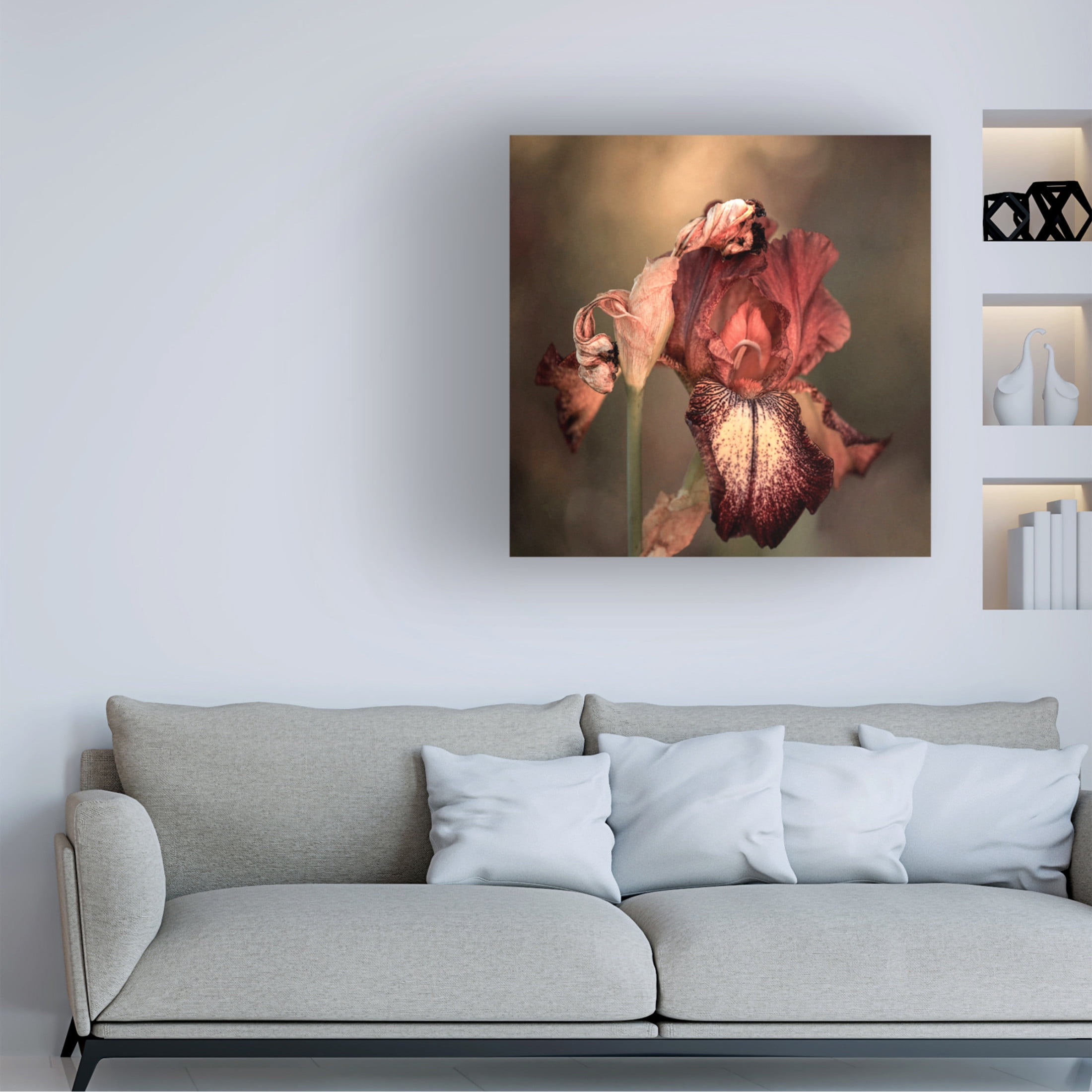 Trademark Fine Art Robin Wechsler  An Iris in Spring Canvas Wall Art