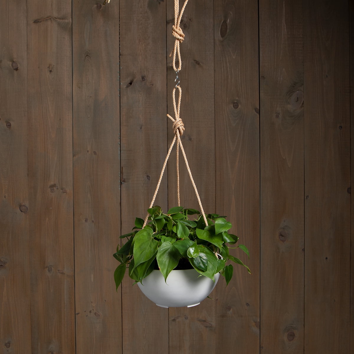 Root & Vessel Napa Hanging Bowl Planter, White, 10"