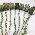 thumbnail image 2 of 20m verde artificial hoja de vid decoración vívida hoja de ratán vagina hierba plantas falsas cuerda cuerda hojas para el hogar jardín fiesta decoración Gao Jiahui unisex, 2 of 2