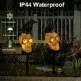 thumbnail image 5 of PMMIPNW Halloween Raven Skull Light - Outdoor Solar Light Yard Decor with Glowing Skulls & Crows, Spooky Atmosphere for Halloween Decorations, Crows looking ahead, 5 of 9