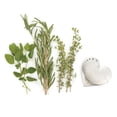thumbnail image 2 of Stainless Steel Silver Herb Stripper, 2 of 2