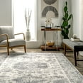thumbnail image 5 of nuLOOM Parisa Vintage Medallion Bordered Area Rug, 6' x 9', Parisa Grey, 5 of 6