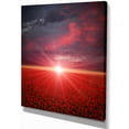 thumbnail image 2 of Red Poppies Field at Sunset, 2 of 3