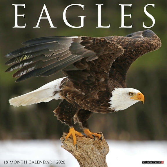 Eagles 2026 Wall Calendar, (Paperback)