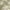 Light Olive, variant on Chaps Men's and Big Men's Linen-Blend Print Woven Shirt, Sizes S-3XL