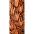 thumbnail image 2 of Pine Cone VI Poster Print by Kathy Mahan (10 x 20), 2 of 2