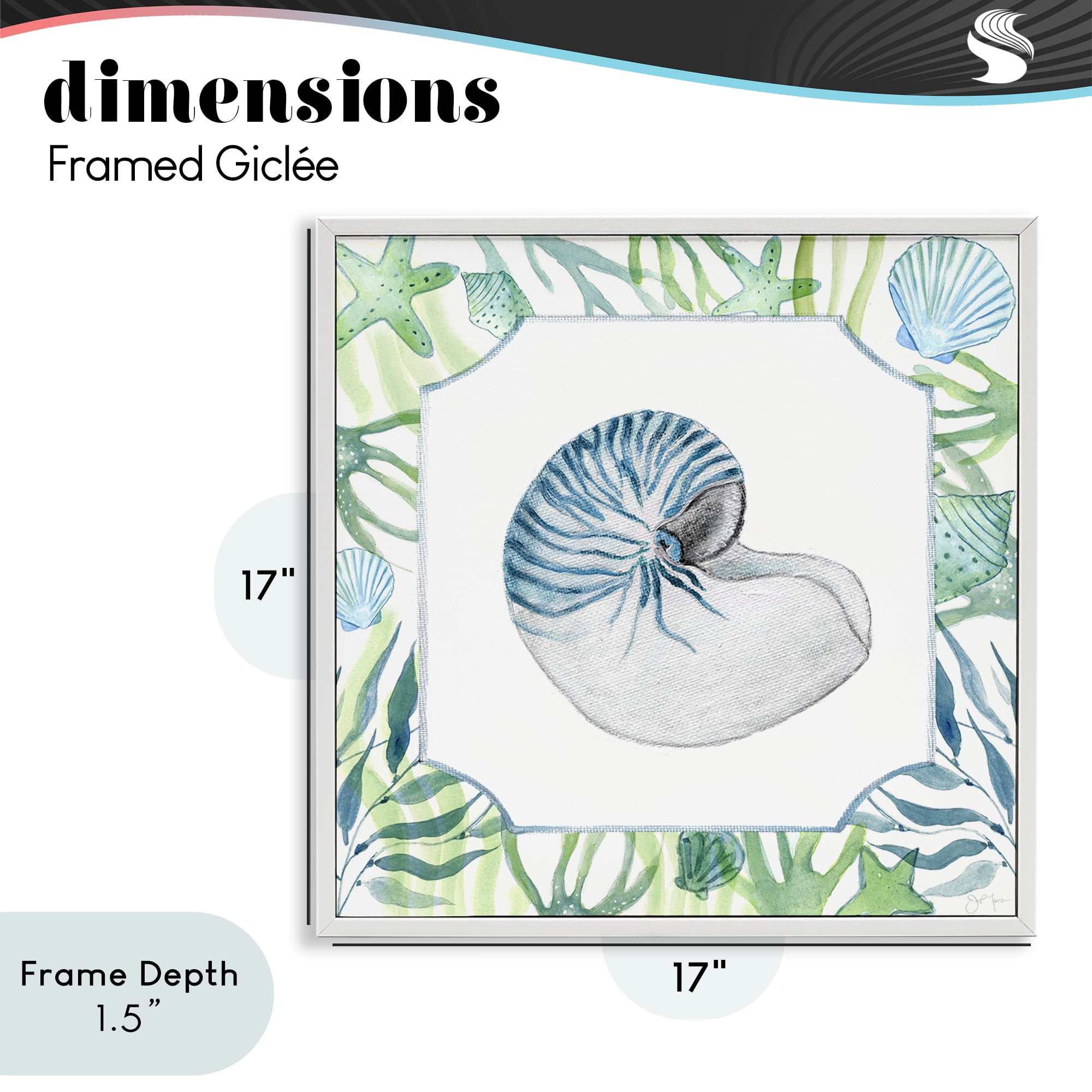 Stupell Industries Seaweed & Seashells Aquatic White Framed Giclee Art, design by Janet Tava