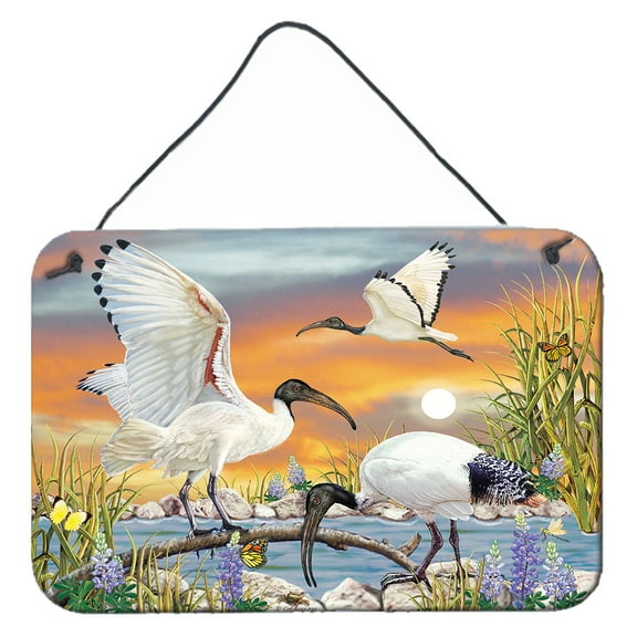 Carolines Treasures PRS4035DS812 Sacred Ibis Wall or Door Hanging Prints  8x12 multicolor