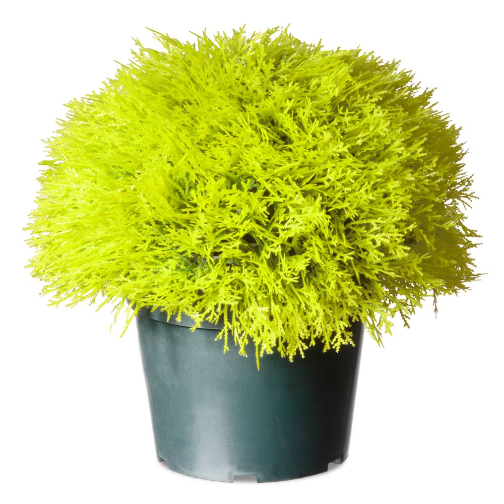 15" Golden Yellow and Black Potted Artificial Juniper Bush Walmart