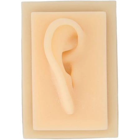 Silicone Ear, Ear Model Human Ear Models Glossy Texture Vivid Shape ...