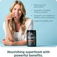 thumbnail image 5 of Ancient Nutrition Grass Fed, Cage Free, Bone Broth Protein Powder, 20g Protein, Hydrolyzed Collagen Peptides, Keto & Paleo Friendly, Supports Joint, Gut Health, Chocolate, 20 Servings, 5 of 10