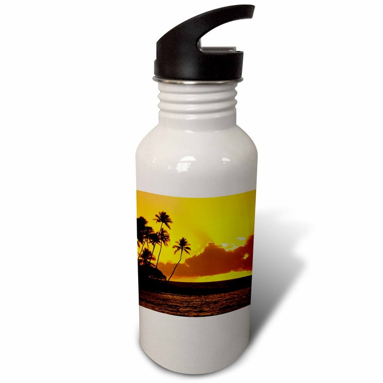 Sunset Waves White Owala 40oz Water Bottle with Handle – Citrus Waves Art