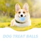 thumbnail image 4 of KAKOWELY Juguete para perros Juguete masticable para perros Juguete para masticar con dientes Juguete interactivo para cachorros Pelota de golosinas para mascotas Pelota de golosinas para perros, 4 of 5