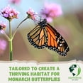 thumbnail image 4 of Earthwise Monarch Meadow Native Wildflower Seed Mix, Monarch Magnet, Pollinator Friendly, Colorful Blooms, Drought Tolerant, Organic, Chemical-Free, Pet Safe, Covers 2,400 Sq ft, 1 lb, 4 of 9