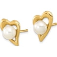 thumbnail image 2 of 14K Yellow Gold 3-4mm White Button Freshwater Cultured Pearl Post Earrings (8.91 X 6.67) Made In Canada xf601e, 2 of 5