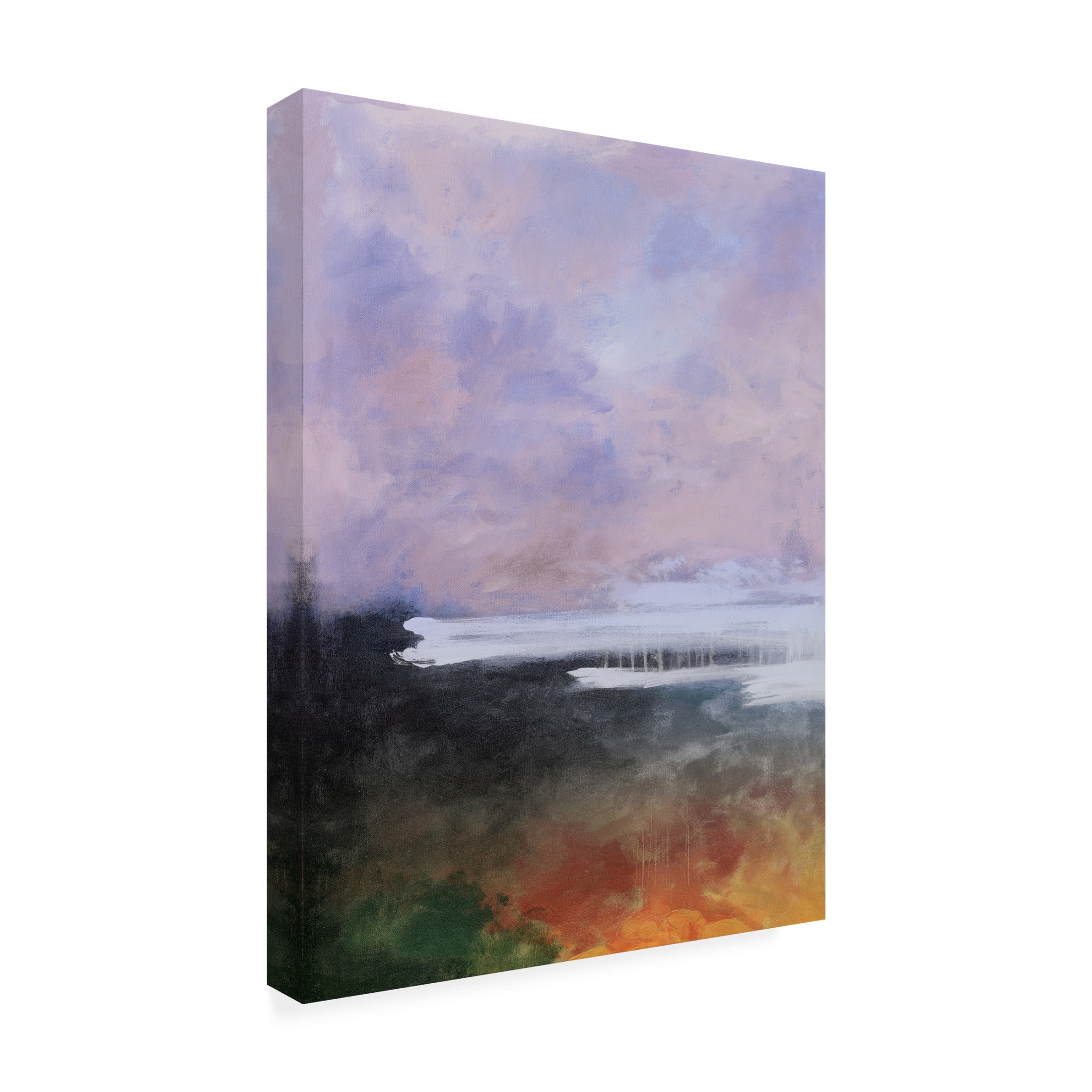 Canvas Wall Art - Pablo Esteban 'Peri Storm 2' Wall Art for Living Room, Bedroom, or Office Décor by Trademark Fine Art - 18 x 24 Inches