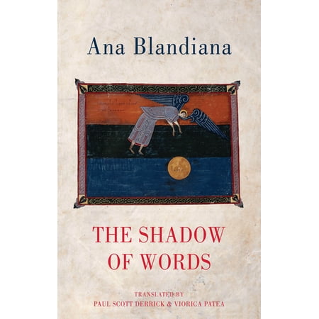 The Shadow of Words (Paperback)