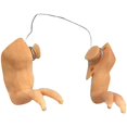 thumbnail image 2 of Arms Funny Chicken Arms Pollos Gag Regalo Disfraz De Pollo Guardurnaity HA040505-02, 2 of 6