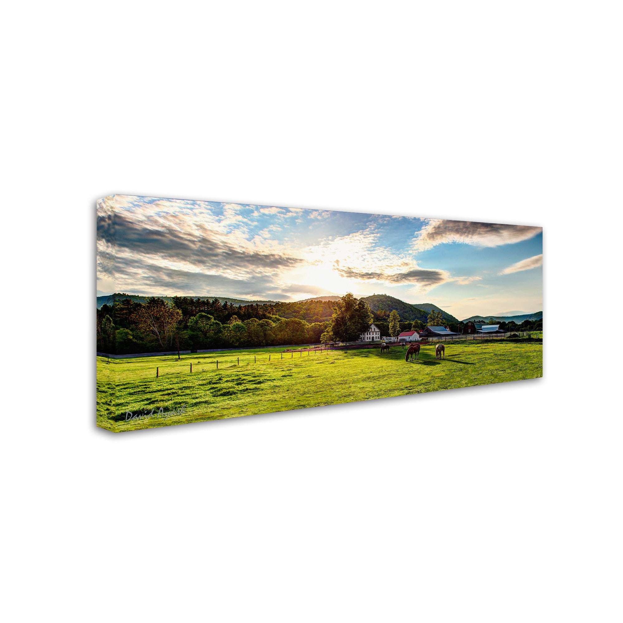 Trademark Fine Art ''Serene Sunset - Vermont'' by David Ayash 8" x 19" Canvas Art (MA0641-C819GG)