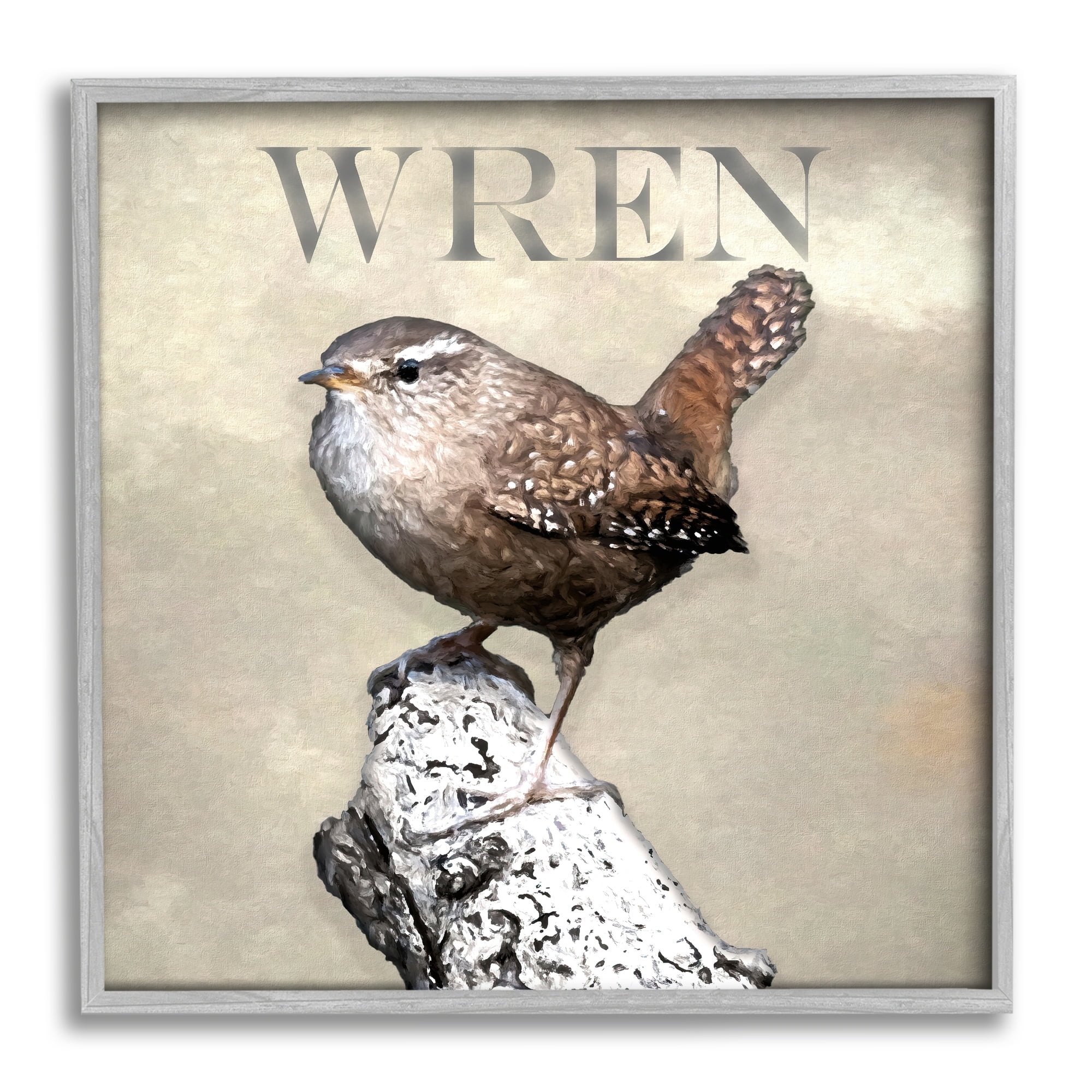 Stupell Industries Wren Bird Standing Casual Nature Breed Typography Graphic Art Gray Framed Art Print Wall Art, Design by Alpenglow Workshop