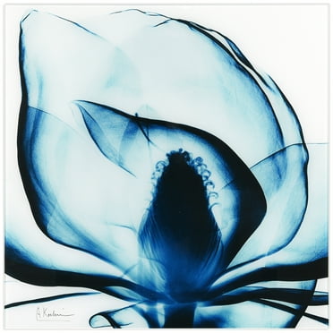 Empire Art  Direct "Blue Magnolia x-ray" Frameless Floating Glass Panel Art - Blue