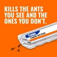 thumbnail image 3 of TERRO Liquid Ant Baits - 6PK, 3 of 11
