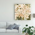 thumbnail image 3 of Trademark Fine Art 'Daisy Field I' Canvas Art by Emma Scarvey, 3 of 4