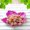 Hot Pink, variant on HongHeng 1Pc Fall Autumn Leaf Candy Dishes, Thanksgiving and Christmas Party Decoration Supplies