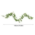 thumbnail image 3 of Humanized Tail Peony Vine Strips for Outdoor Photography and Home Hanging Vines Room Door Decoration, 3 of 4