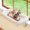 Natural Color Wood w/ Cream Bed, variant on Cat Window Perch with 4-Sided Bolster - Orthopedic Cat Hammock for Window Sill - Solid Hardwood & Metal Frame - Window Seat for Pets (Medium)