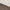 Brown Multi, variant on Michael Kors Jet Set Travel Large Logo Tote, Vanilla