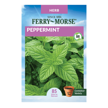 Ferry-Morse 12.5MG Peppermint Herb Plant Seeds (1 Pack)- Seed Gardening, Full Sunlight