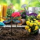 thumbnail image 4 of Decoración del hogar, decoración de habitaciones, decoración de paredes, animales coloridos, plantas, estacas, señalización para jardín., 4 of 7